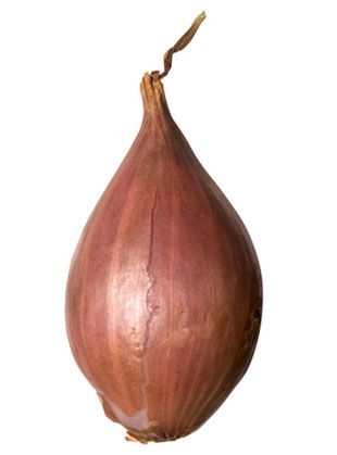 Échalote