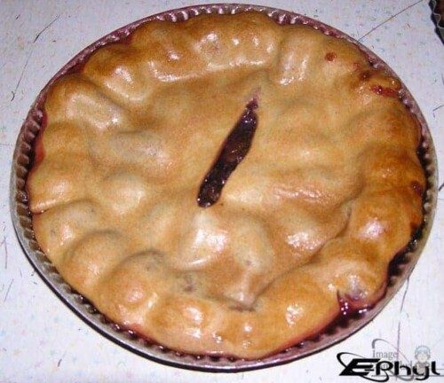 Pâté aux prunes cuit