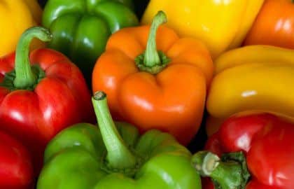 Les poivrons multicolors