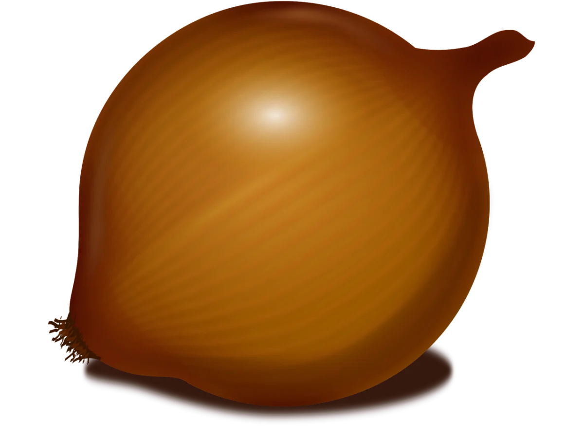 clker free vector images onion 33639 1280