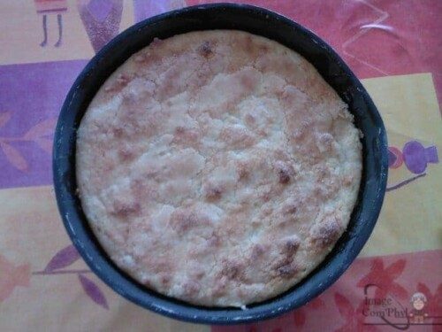 Gâteau maison à la croûte dorée dans un moule rond, idéal pour recettes de pâtisserie traditionnelles. Parfait pour un dessert gourmand ou une occasion spéciale.