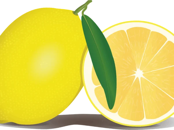 Citron fruit ou Citron liquide – Equivalent