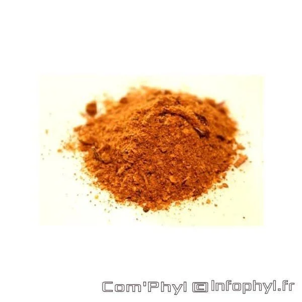 Mélange d'épices aromatiques idéal pour assaisonner le guacamole et relever vos plats mexicains. Parfait pour ajouter saveur et authenticité à vos recettes.