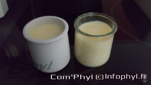 Crème fraîche maison dans un pot blanc et un pot transparent, ingrédients de recettes culinaires, produits frais pour cuisine maison, parfait pour gastronomie et pâtisserie.