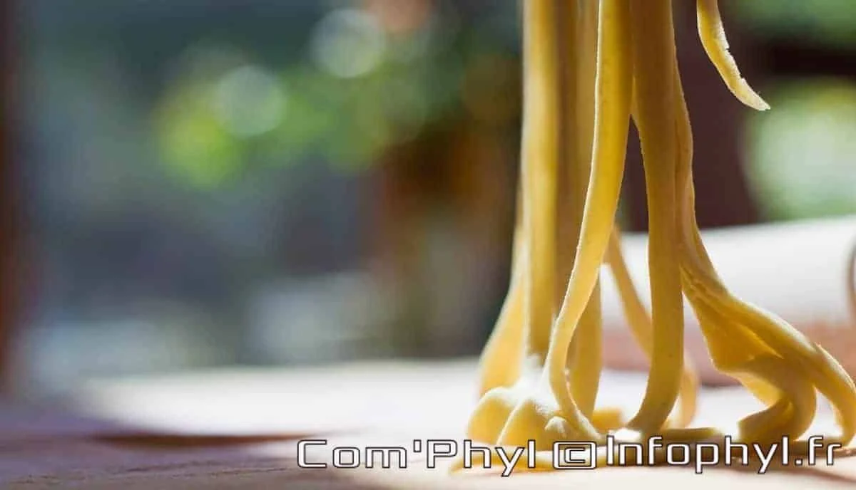 Pâte fraîche pour recettes de cuisine, idéale pour pâtes, raviolis ou autres plats faits maison, mettant en valeur la texture et la savoir-faire culinaire.