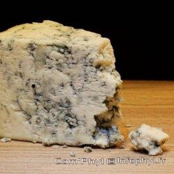 mold cheese gcd47123c6 1280