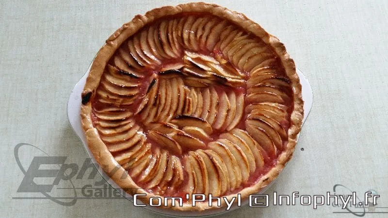 Pommes tartes aux pommes caramélisées et pâte croustillante, idée de recette simple et gourmande, idéale pour le dessert ou le goûter.