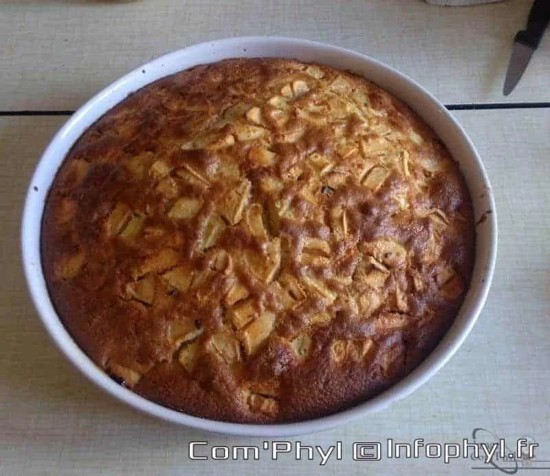 Moelleux aux pommes et chocolat