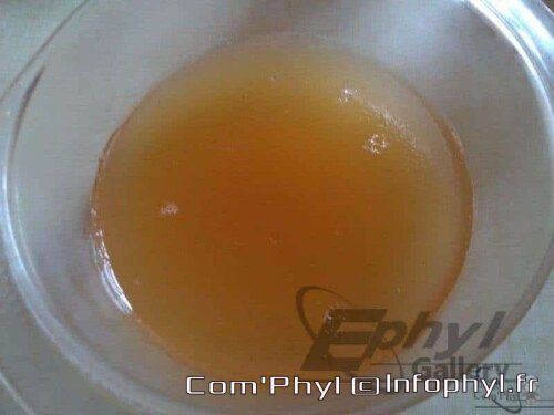 Soupe claire dorée dans un bol transparent, prête à être dégustée.