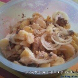 Traduction du saumon aux pommes de terre et oignons dans un bol en plastique.