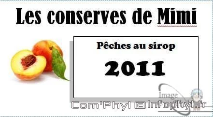 Pêche au sirop léger – étiquettes