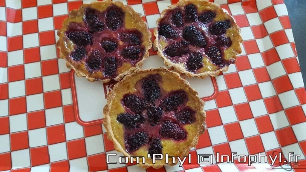Tartelettes aux mûres fraîches et juteuses, parfaites pour une gourmandise estivale ou un dessert léger. Faciles à préparer, elles combinent croûte croustillante et garniture fruitée.