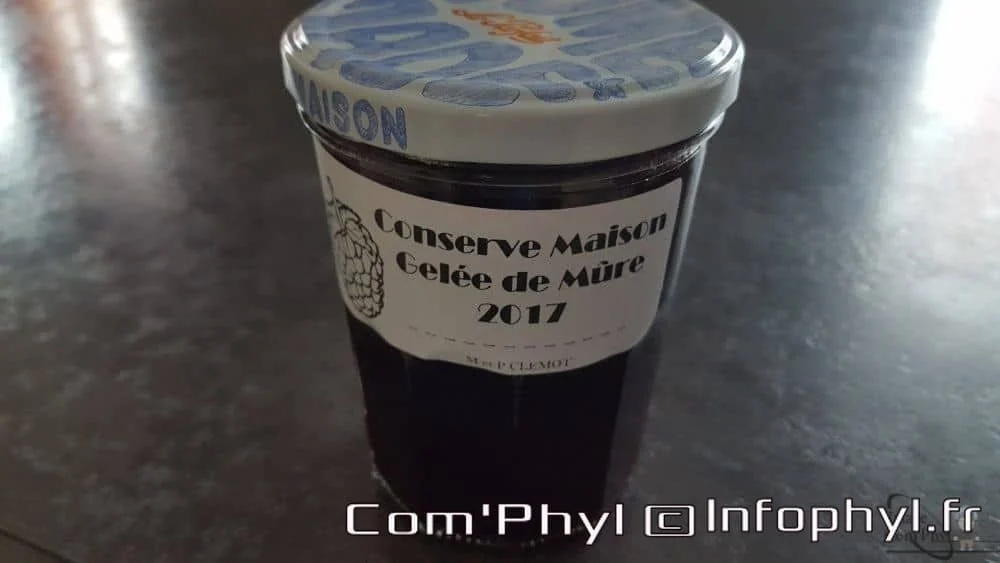 Pot de gelée de mûre faite maison dans un bocal avec étiquette "Conserve Maison Gelée de Mûre 2017".