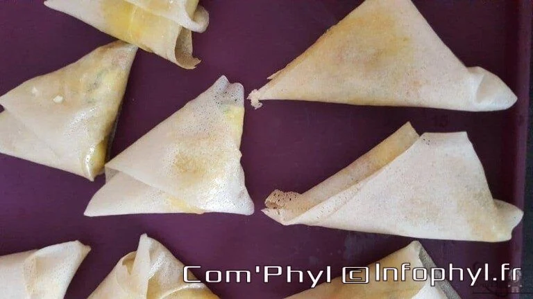 samoussa, chèvre frais, miel