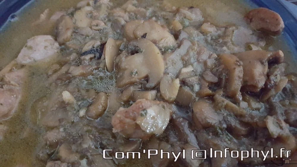 Sauté de dinde aux champignons, plat mijoté avec morceaux de dinde et champignons dans une sauce crémeuse. Parfait pour un repas réconfortant et savoureux.
