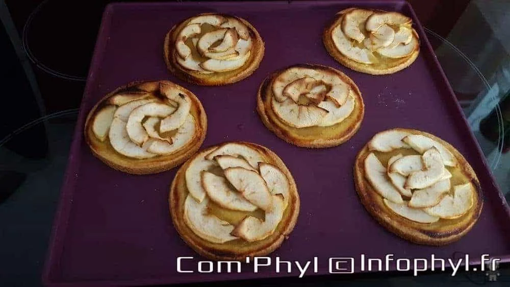Tarte fine