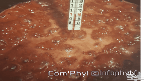 Confiture De Fraise Thermometre Sucre