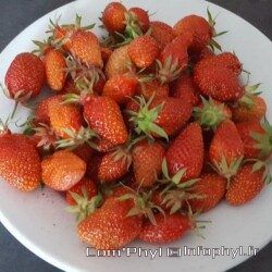 Assiette de fraises