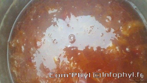 Confiture d'abricot dans la Bassine