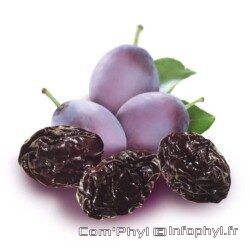 Pruneaux et Prunes