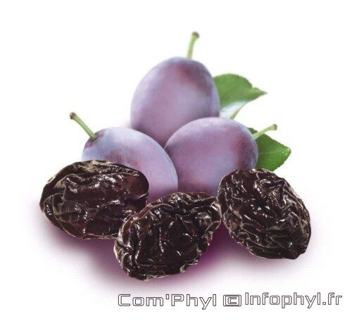 Pruneaux et Prunes