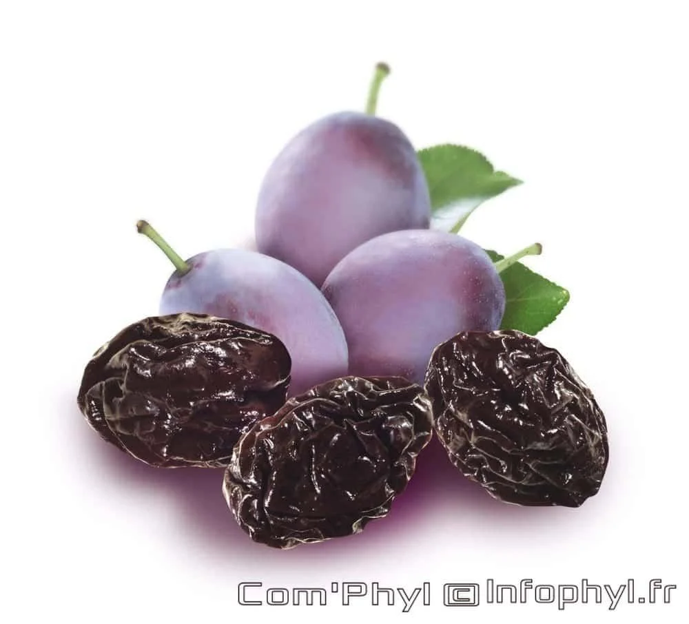 Pruneaux et Prunes
