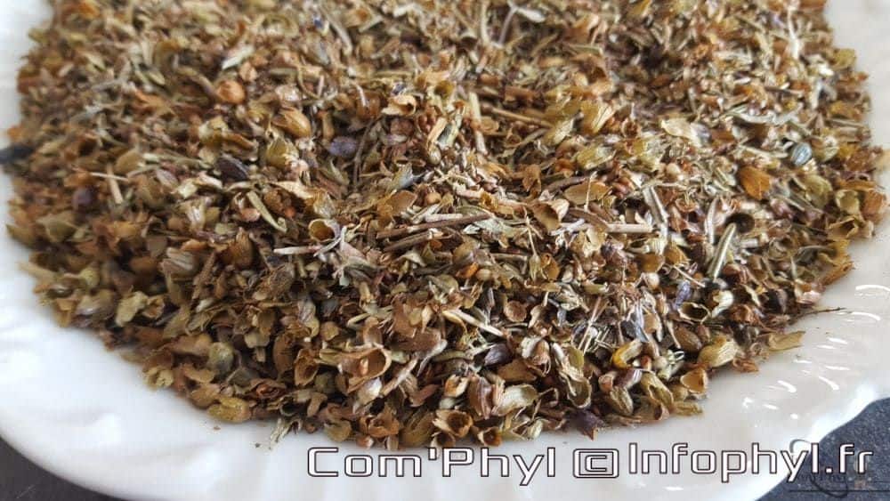 Herbes de Provence