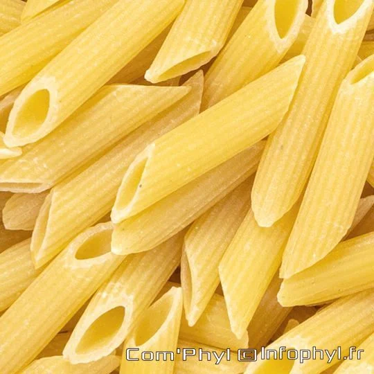 Pasta Penne Rigate