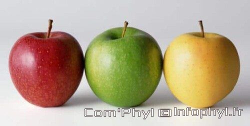 3 pommes rouge verte Jaune