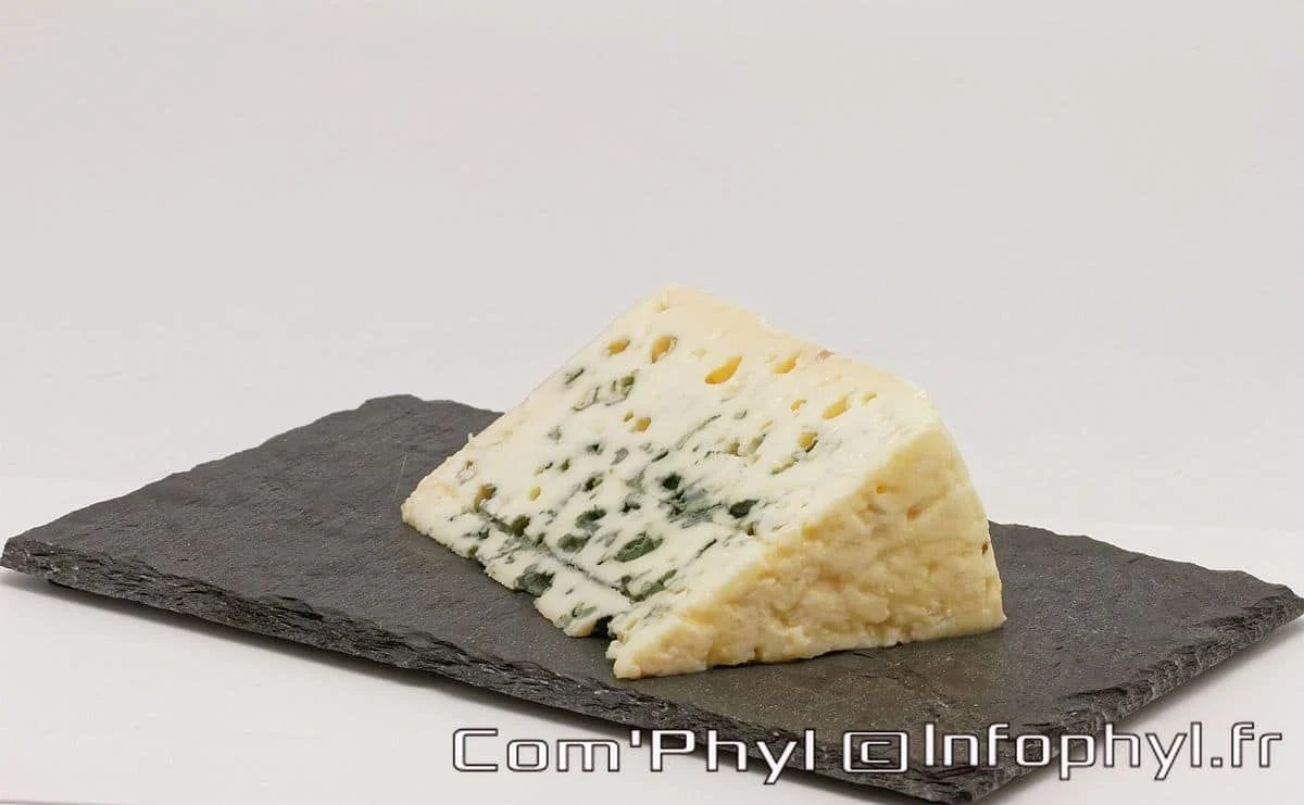 Tranche de Roquefort