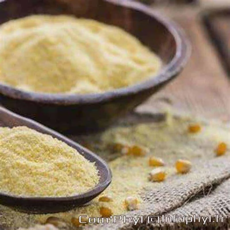 farinedemais ecuelle polenta
