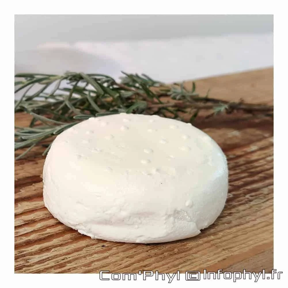 chevre frais bio
