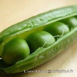 Cosse et petit pois