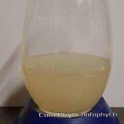 Punch Gingembre Citron