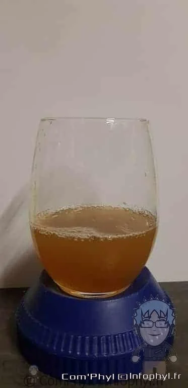 Punch Citrons mandarines Oranges