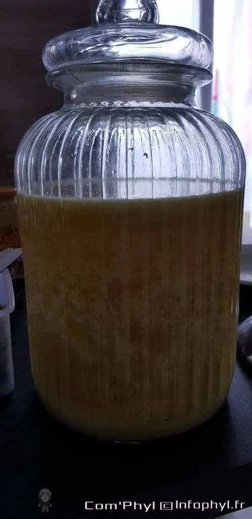 Cocktail gingembre citron