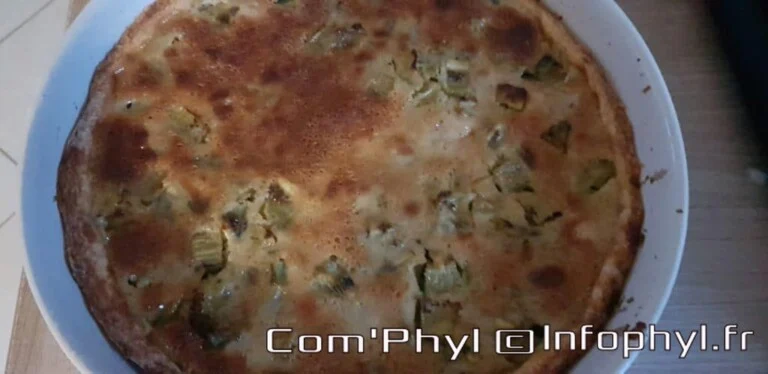 clafoutis,Chocolat,pépite