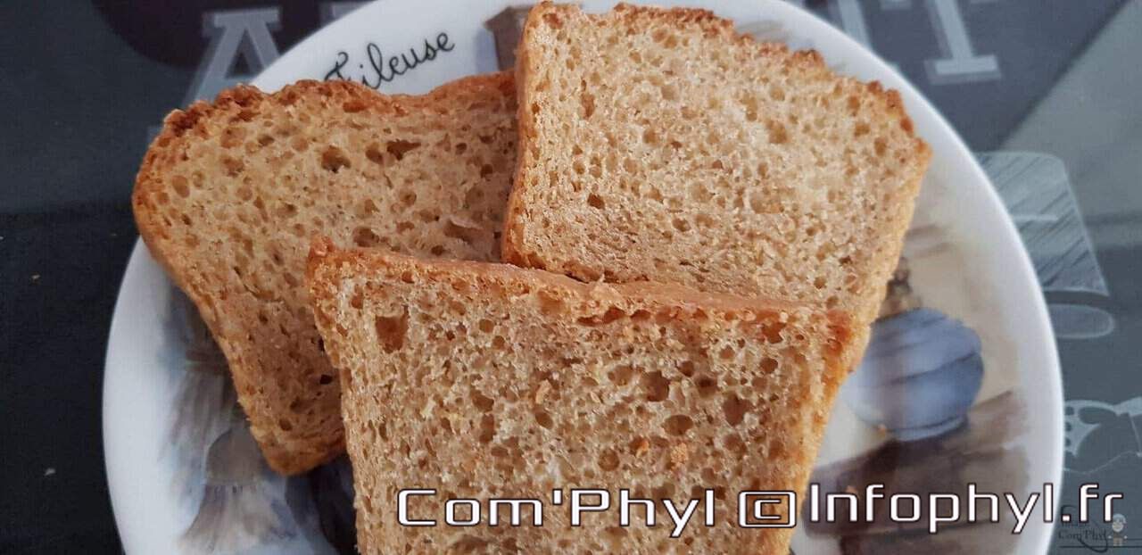 Pain épeautre farine complète