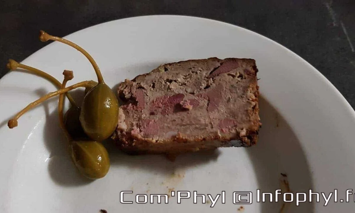 Terrine volaille aux deux foies