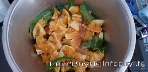 Salade d'oranges cuites à la marocaine