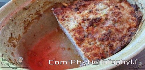 Terrine de viande au saucisson