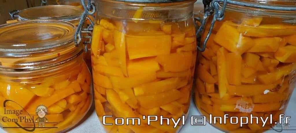 Carottes en conserves