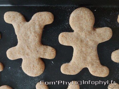 BonhommesSableePainEpices20201212 7 TF