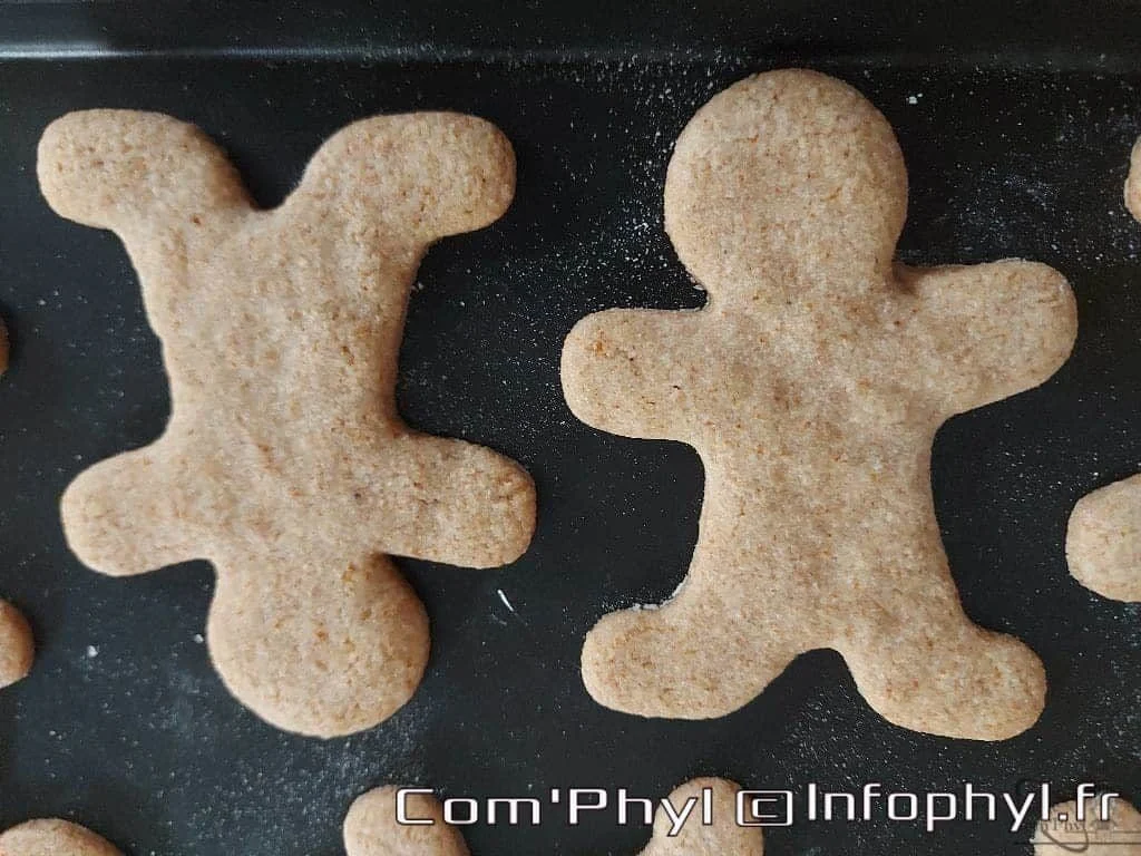 Sablée de Noël