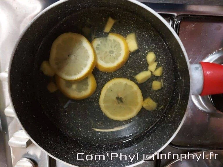 punch, gingembre, citron
