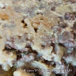 Lasagne de courgettes