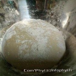 Pâte à Pizza