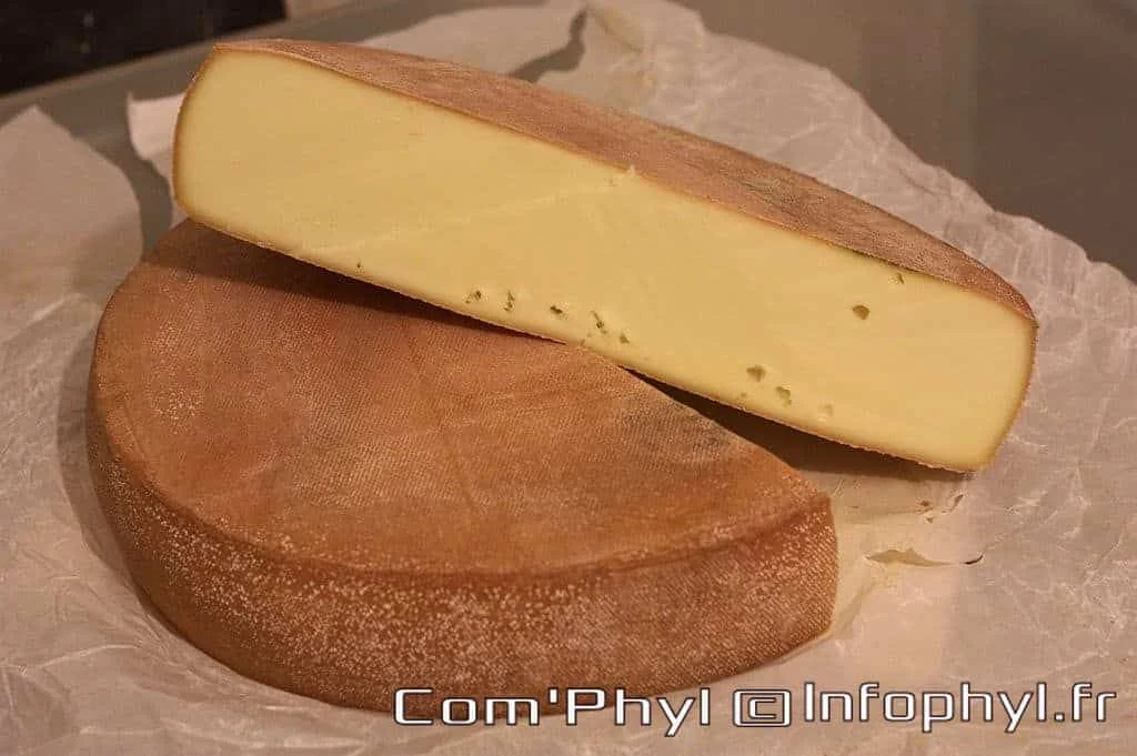 Raclette paprika