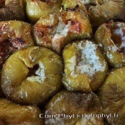 Figues au miel - Recettes