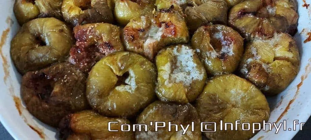 Figues au miel - Recettes